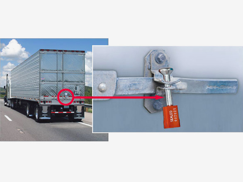 Ziwei Array image108